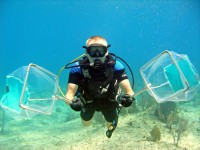 Top 10 tips for how to catch lionfish with nets.